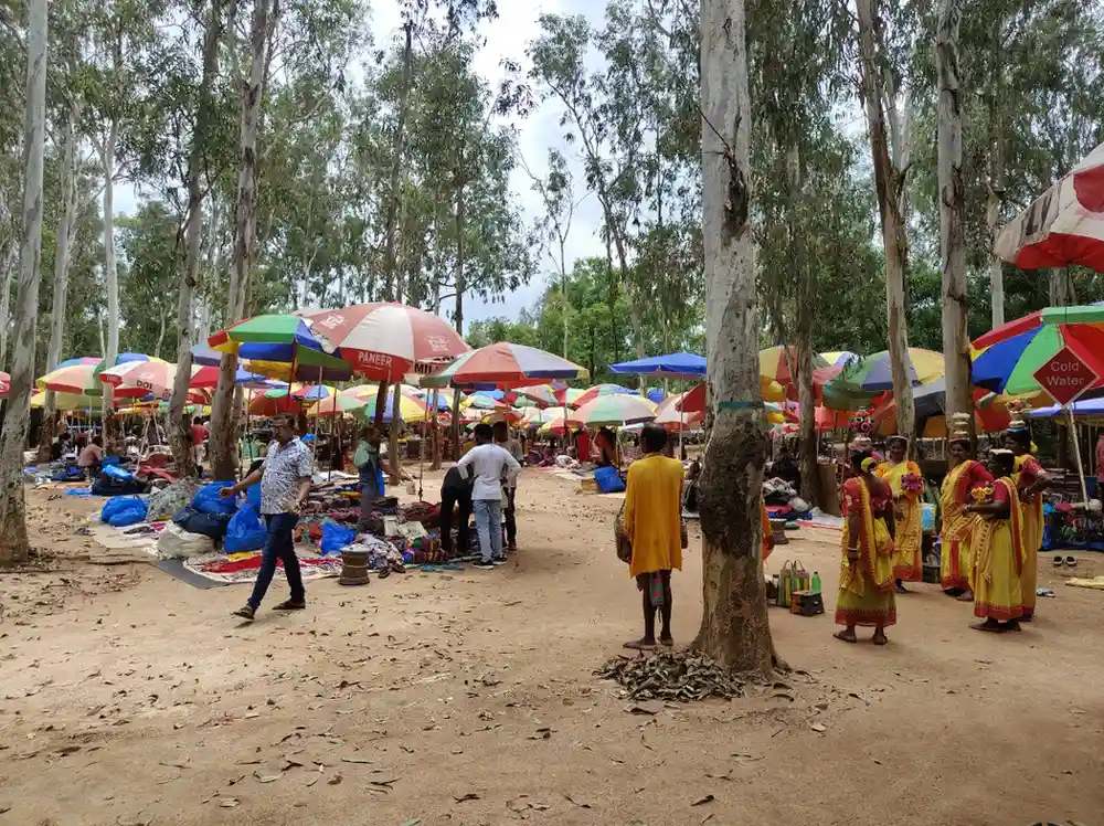 Sonajhuri